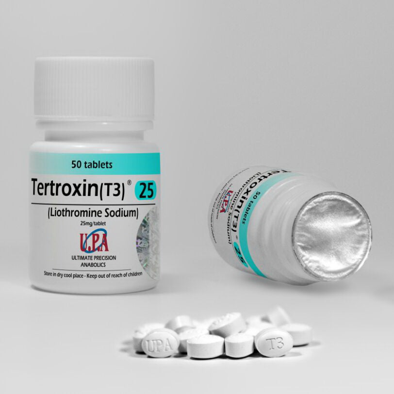 T3 - UPA Labs